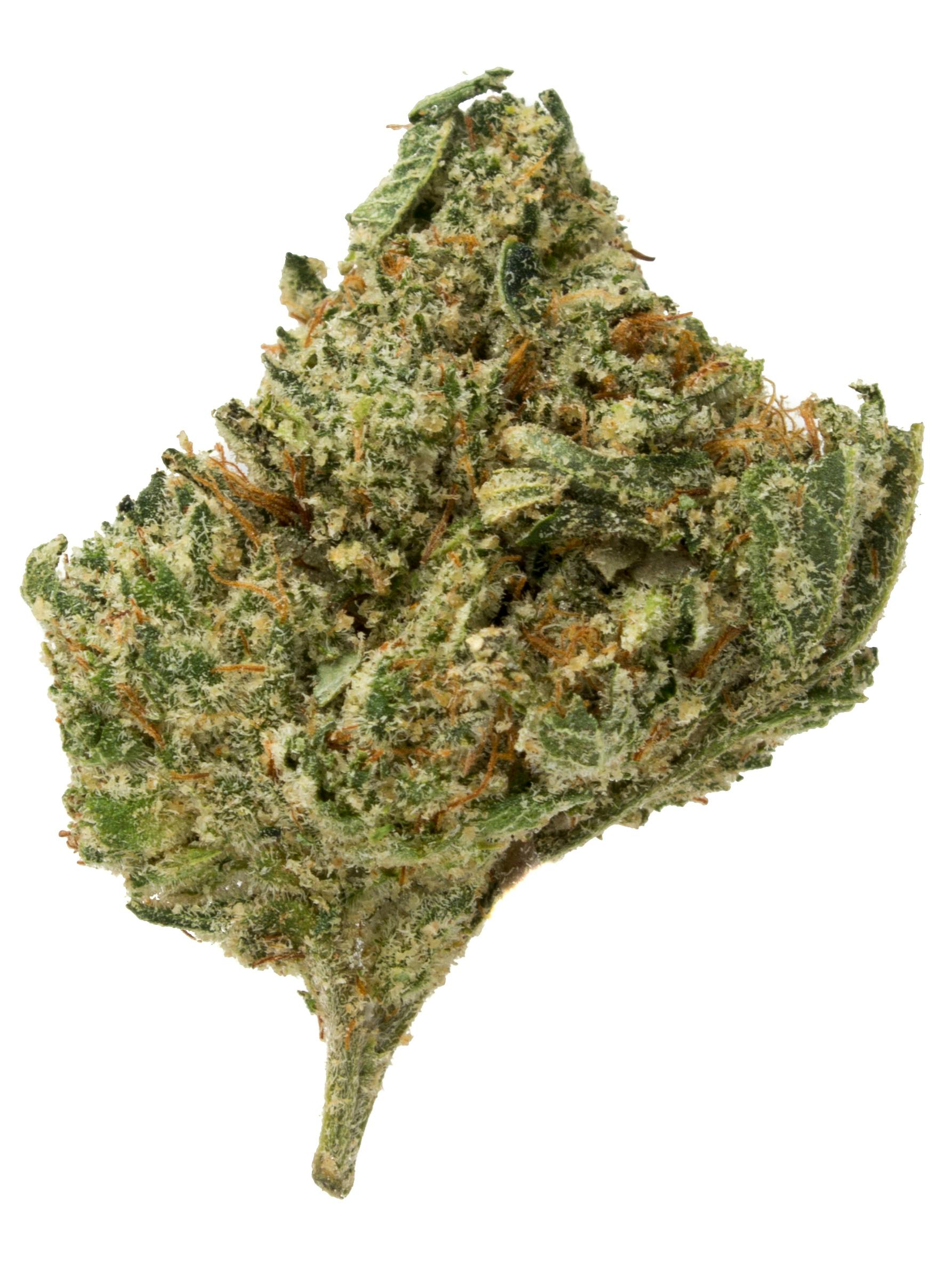 Gorilla Runtz