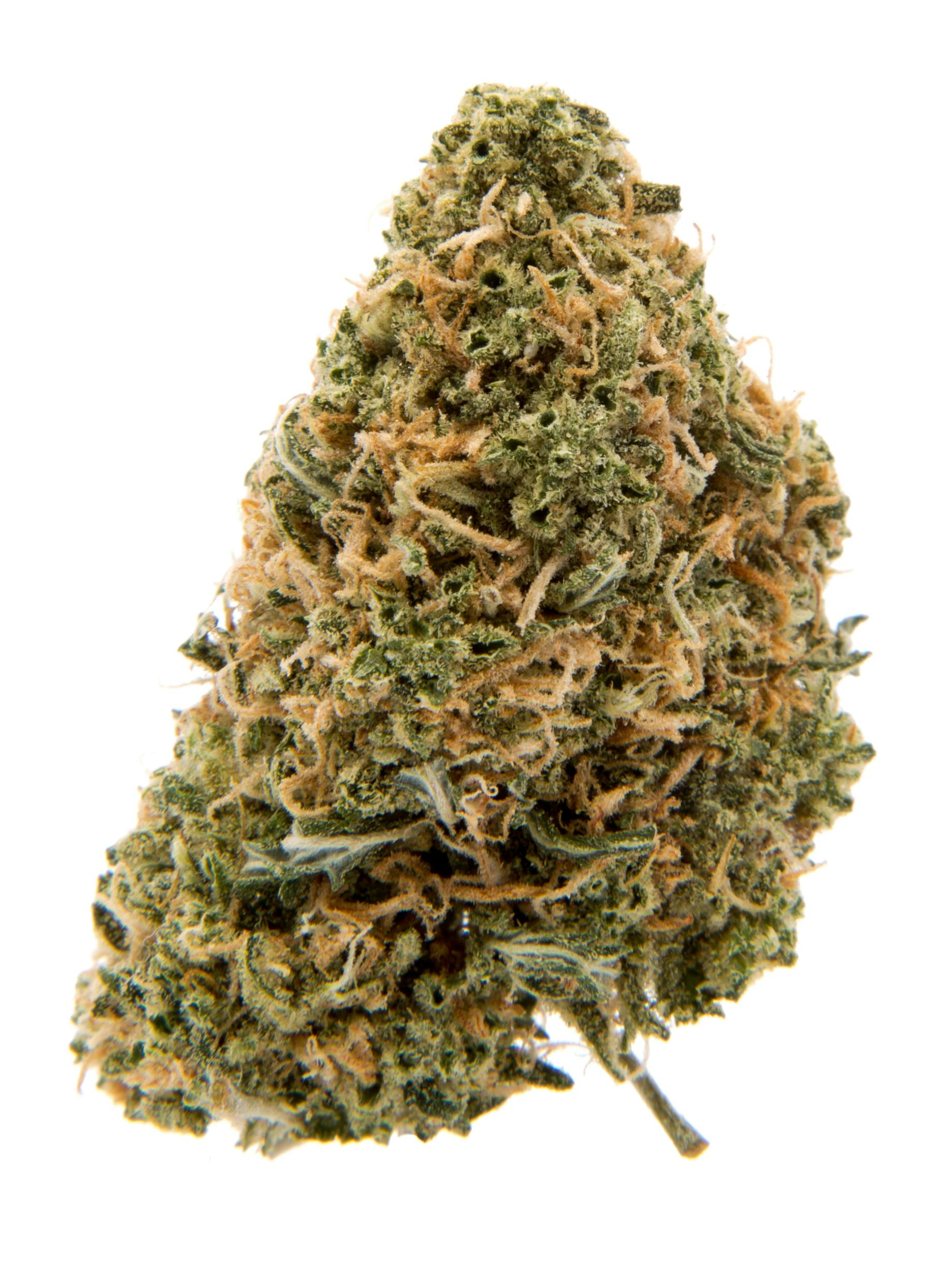 Kernal PuTang popcorn at Colfax Cannabis Company