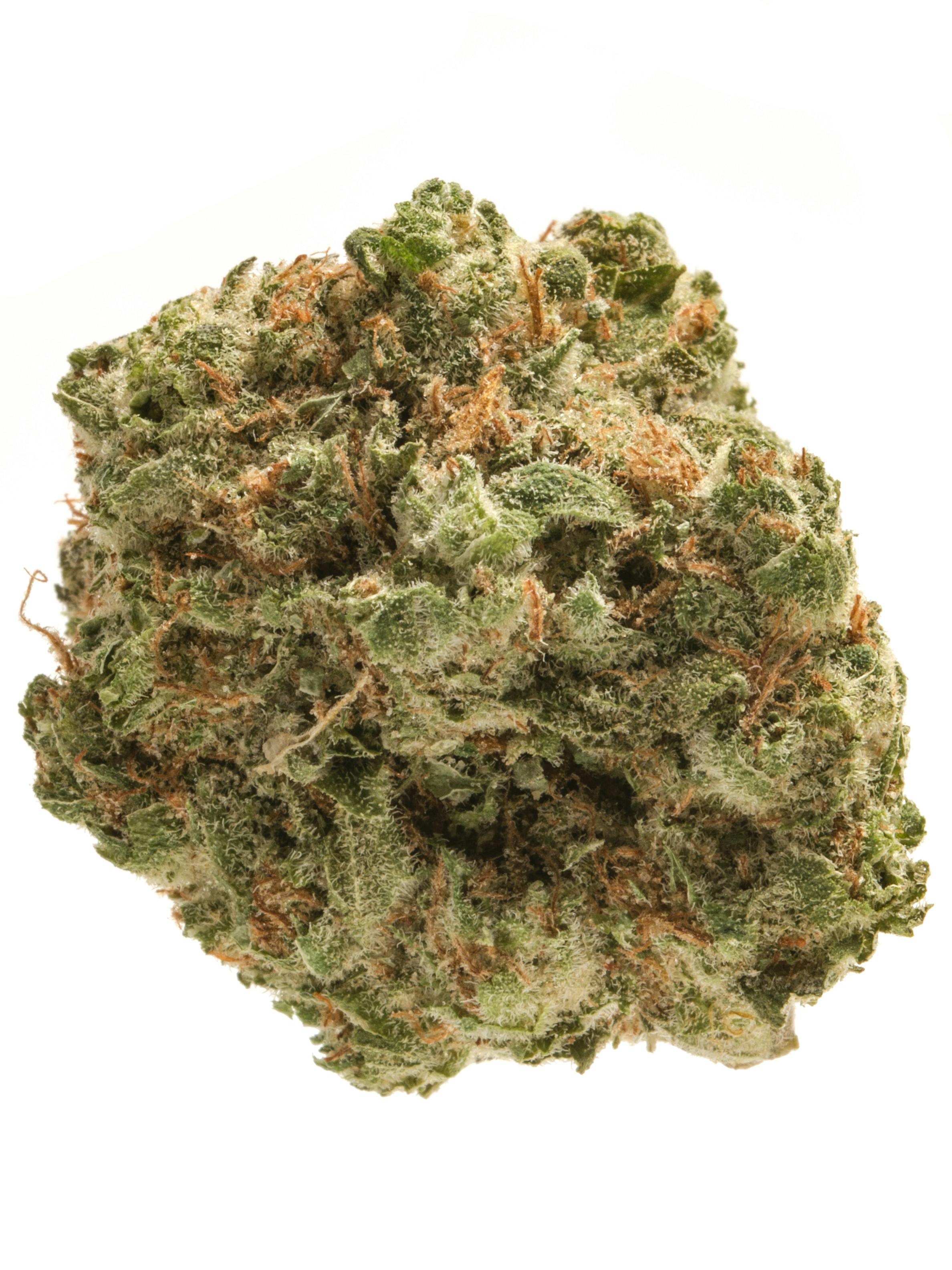 Green Funk at Colfax Cannabis Company