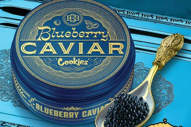Cookies | Blueberry Caviar | Big Buds | 1g