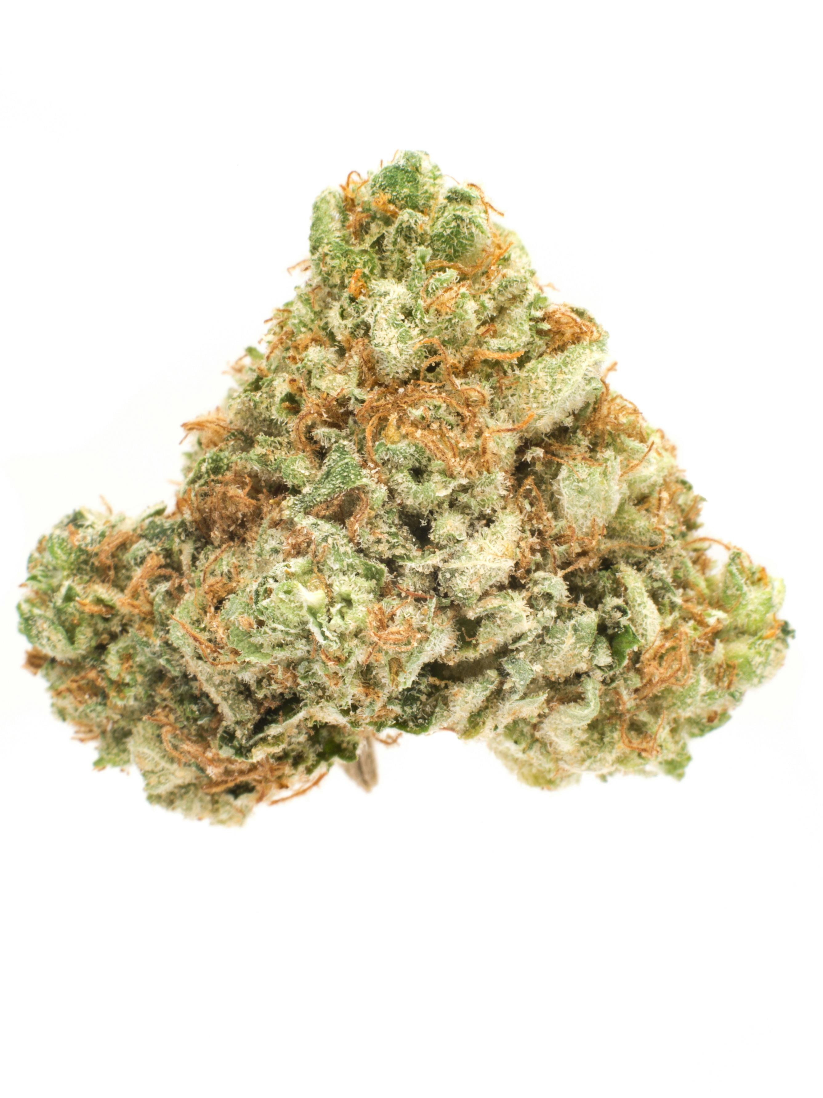 High Life