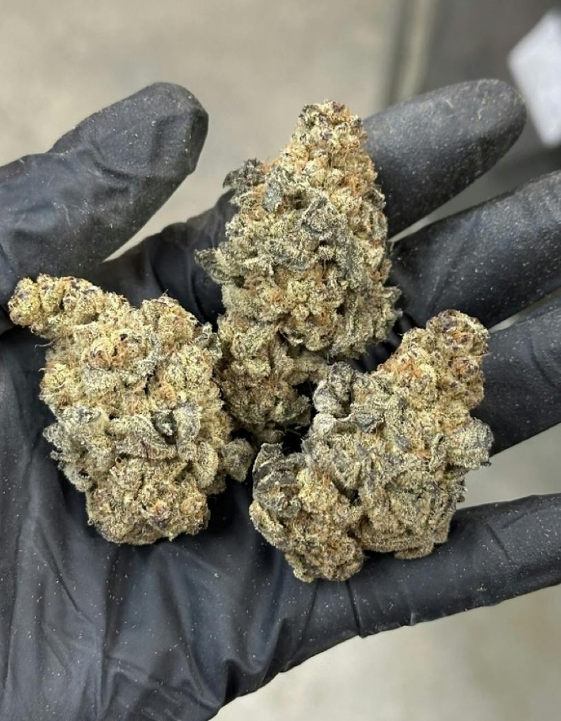 Big Bud Bag | Dante's Inferno #8 | 3.5g