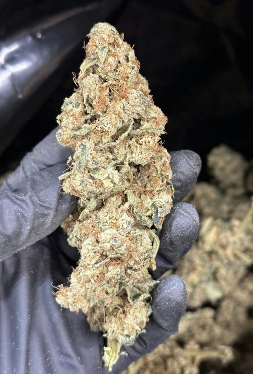 Big Bud Bag | A La Mode | 7g