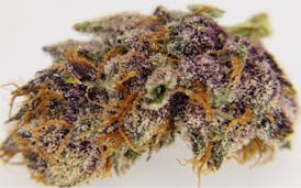 HIGH GRADE - TROP CHERRY