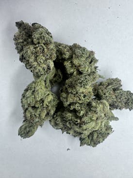 HIGH GRADE - DOSI X ANIMAL