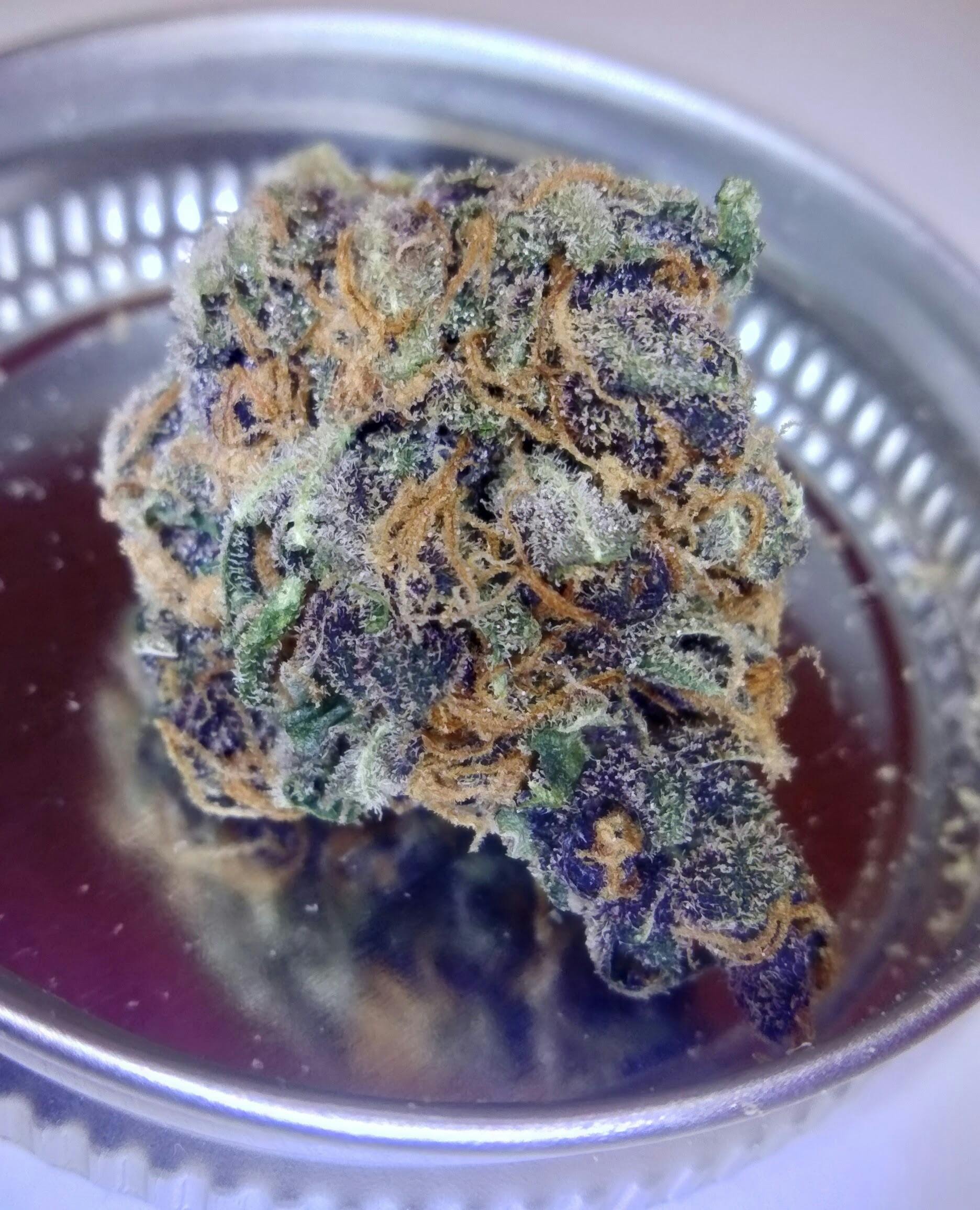 Purple Tangie PREPACKED TIER 2 FABULOUS CANNABIS