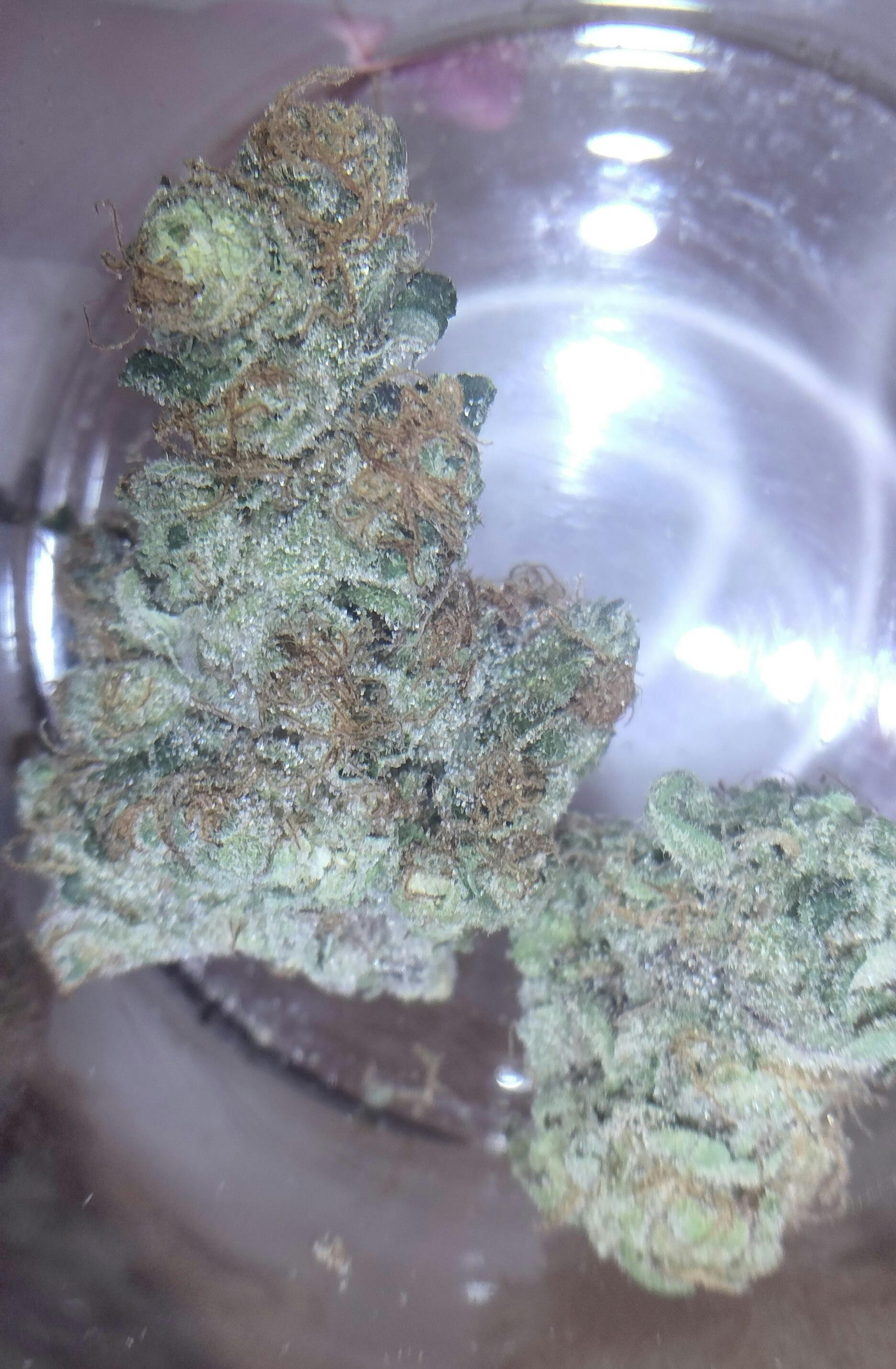 Chem D Tier 3 Fabulous