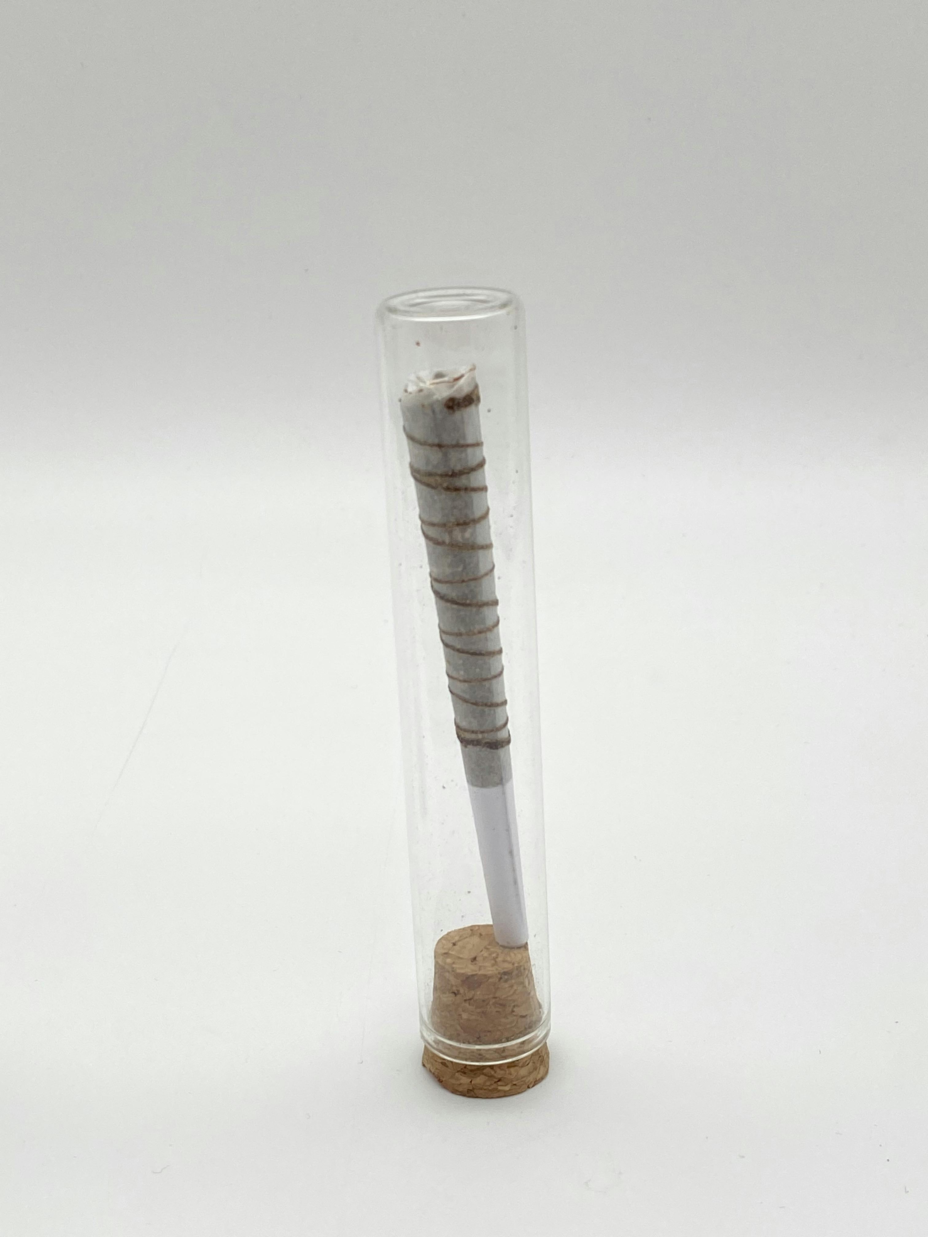 SAP STIX- ONION BURGER
