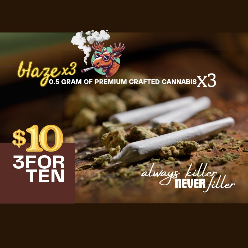 Hazy Moose | .05g Pre Rolls - 3pk | Various Strains Available