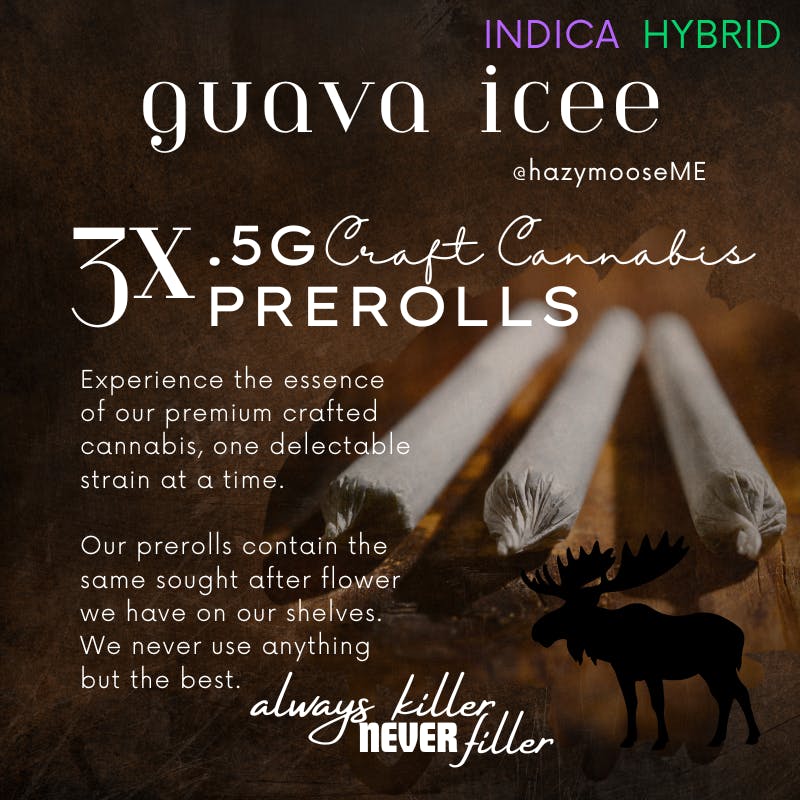 Hazy Moose | .5g Pre Rolls - 3pk | Guava Icee