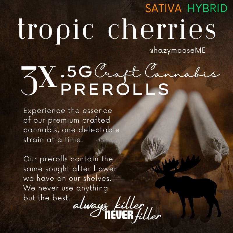 Hazy Moose | .5g Pre Rolls - 3pk | Tropic Cherries
