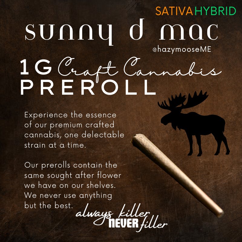 Hazy Moose | 1g Pre Roll | Sunny D Mac