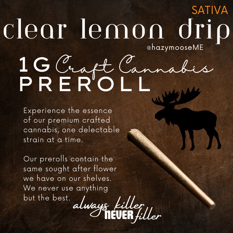 Hazy Moose | 1g Pre Roll | Clear Lemon Drip