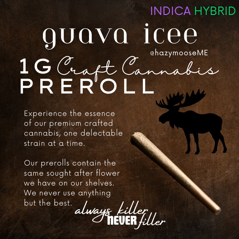 Hazy Moose | 1g Pre Roll | Guava Icee