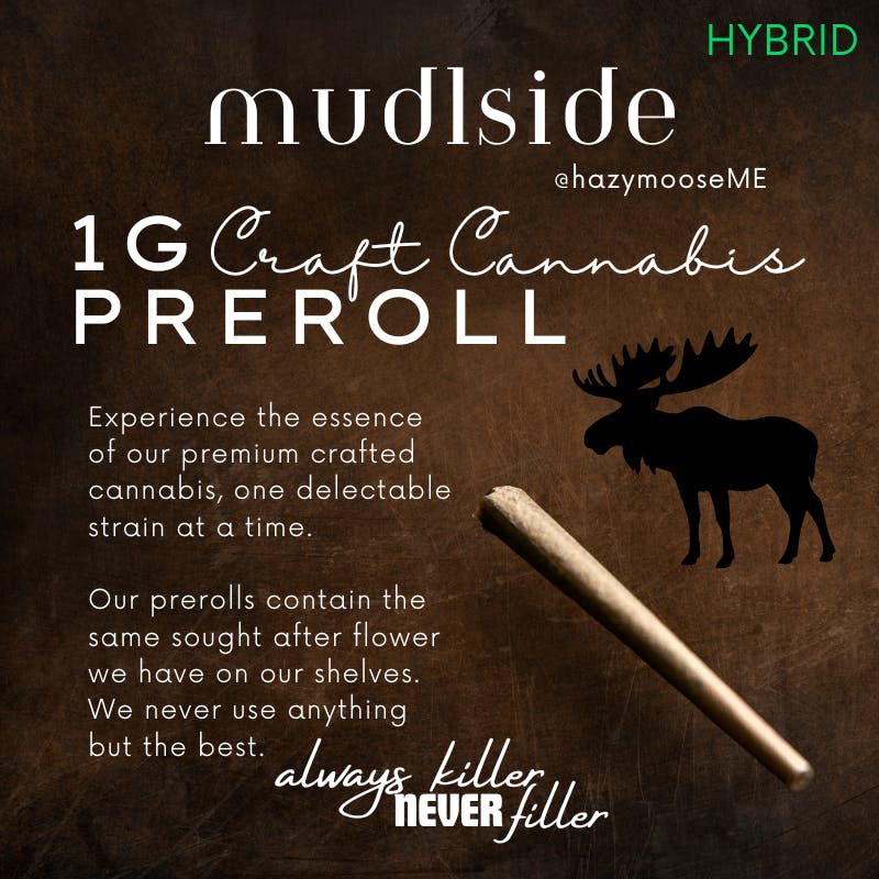Hazy Moose | 1g Pre Roll | Mudslide