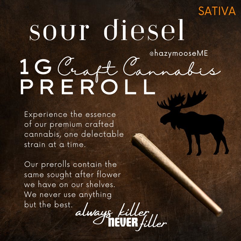 Hazy Moose | 1g Pre Roll | Sour Diesel