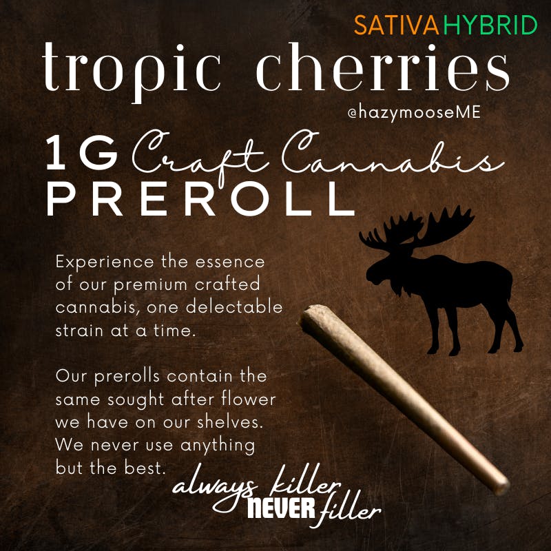 Hazy Moose | 1g Pre Roll | Tropic Cherries