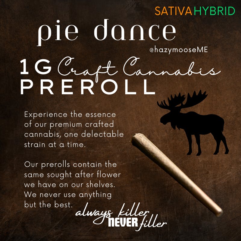 Hazy Moose | 1g Pre Roll | Pie Dance