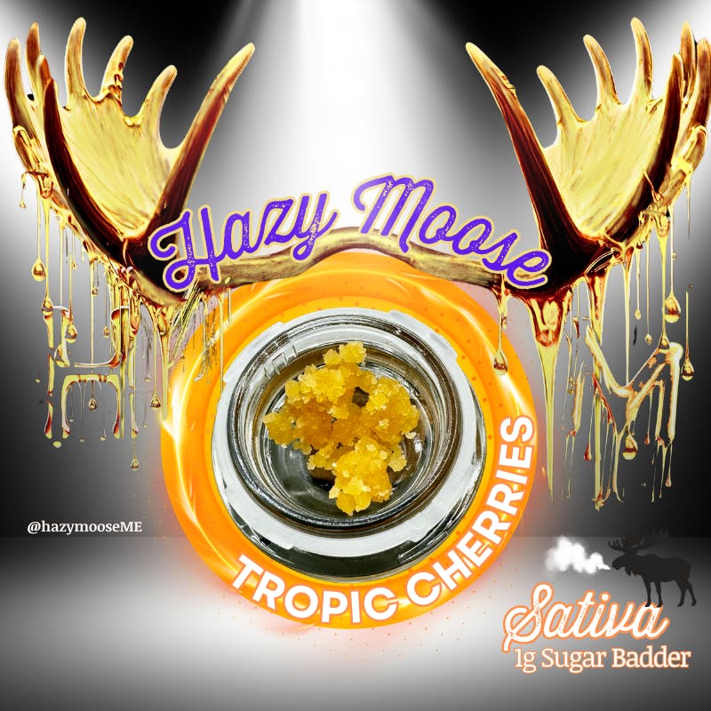Hazy Moose | 1 gram Sugar Badder | Tropic Cherries