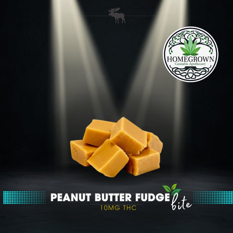 Peanut Butter Fudge Bite - 10mg