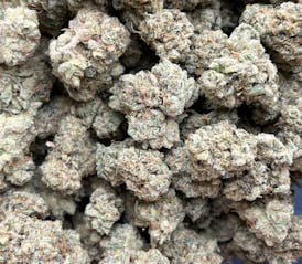 Clean Slate Cannabis: Animal Face