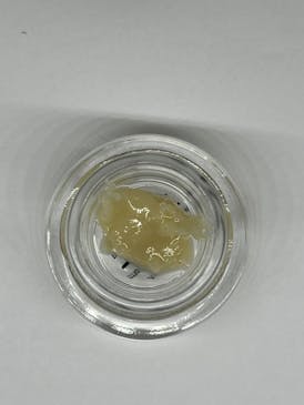 Elm Cultivation: Asiago Cheese 1g Live Rosin