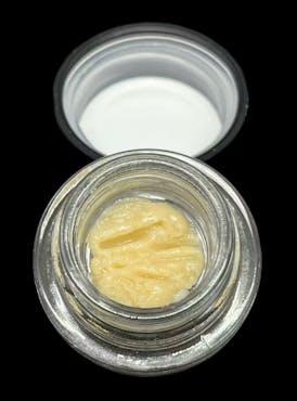 Elm Cultivation: Asiago Cheese 1g Live Rosin