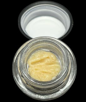 Elm Cultivation: Asiago Cheese 1g Live Rosin