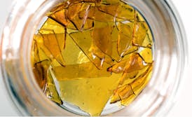 GH Plantium OG Cured Shatter 1g