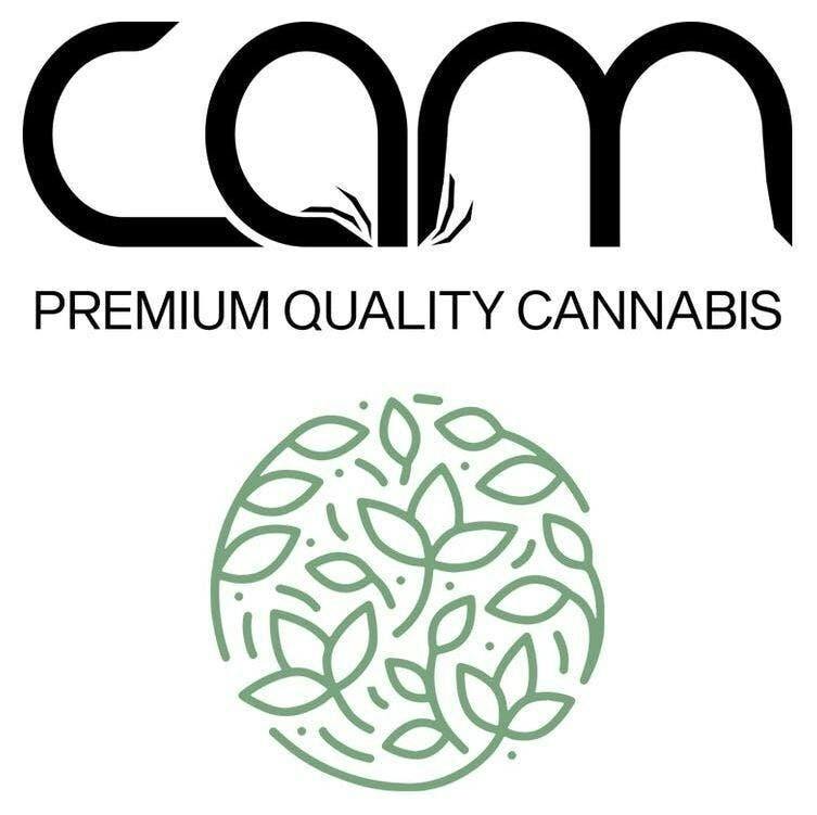CAM | Sour OG | Big Buds | 7g by CAM