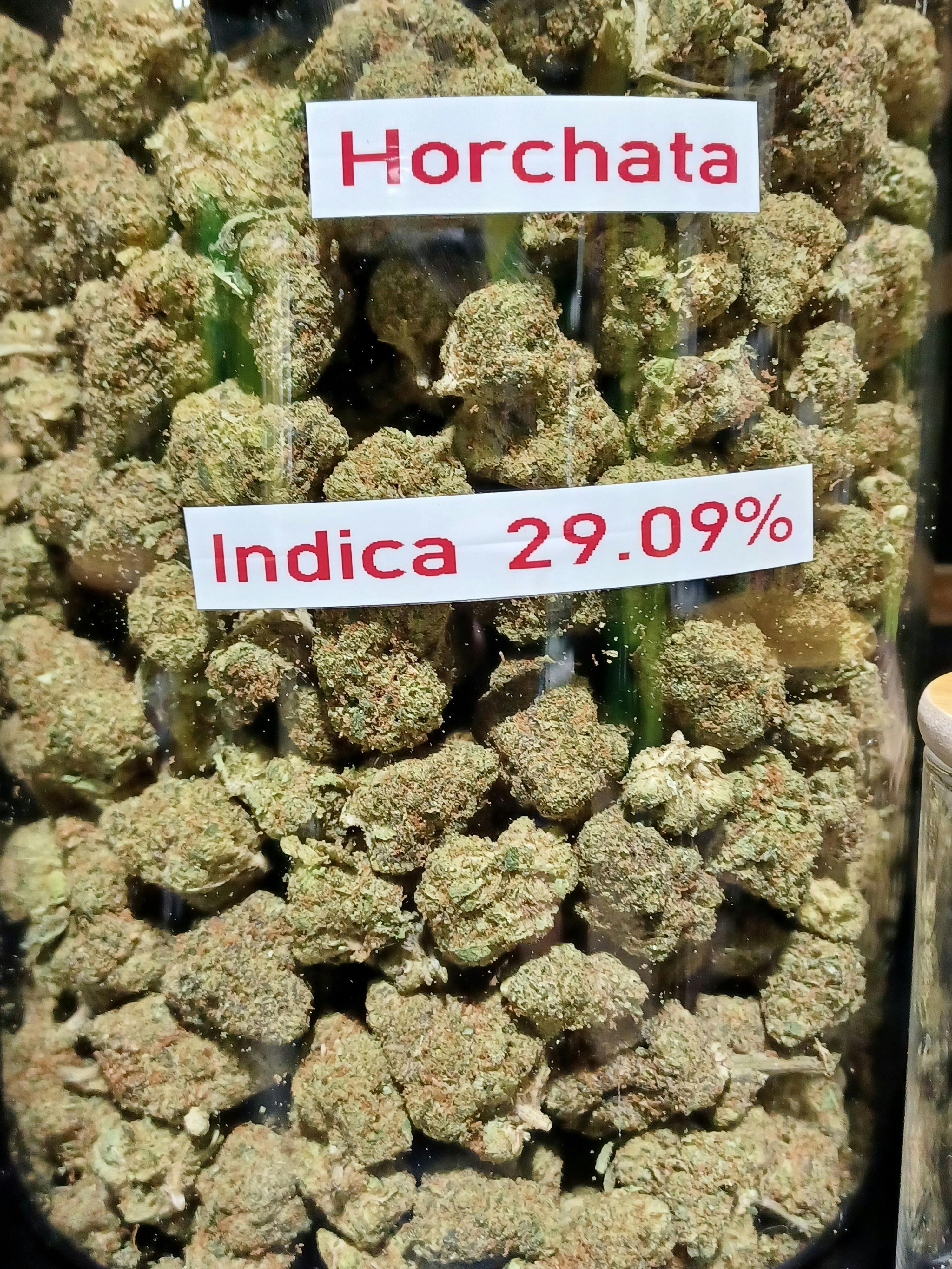 Horchata (Flower)