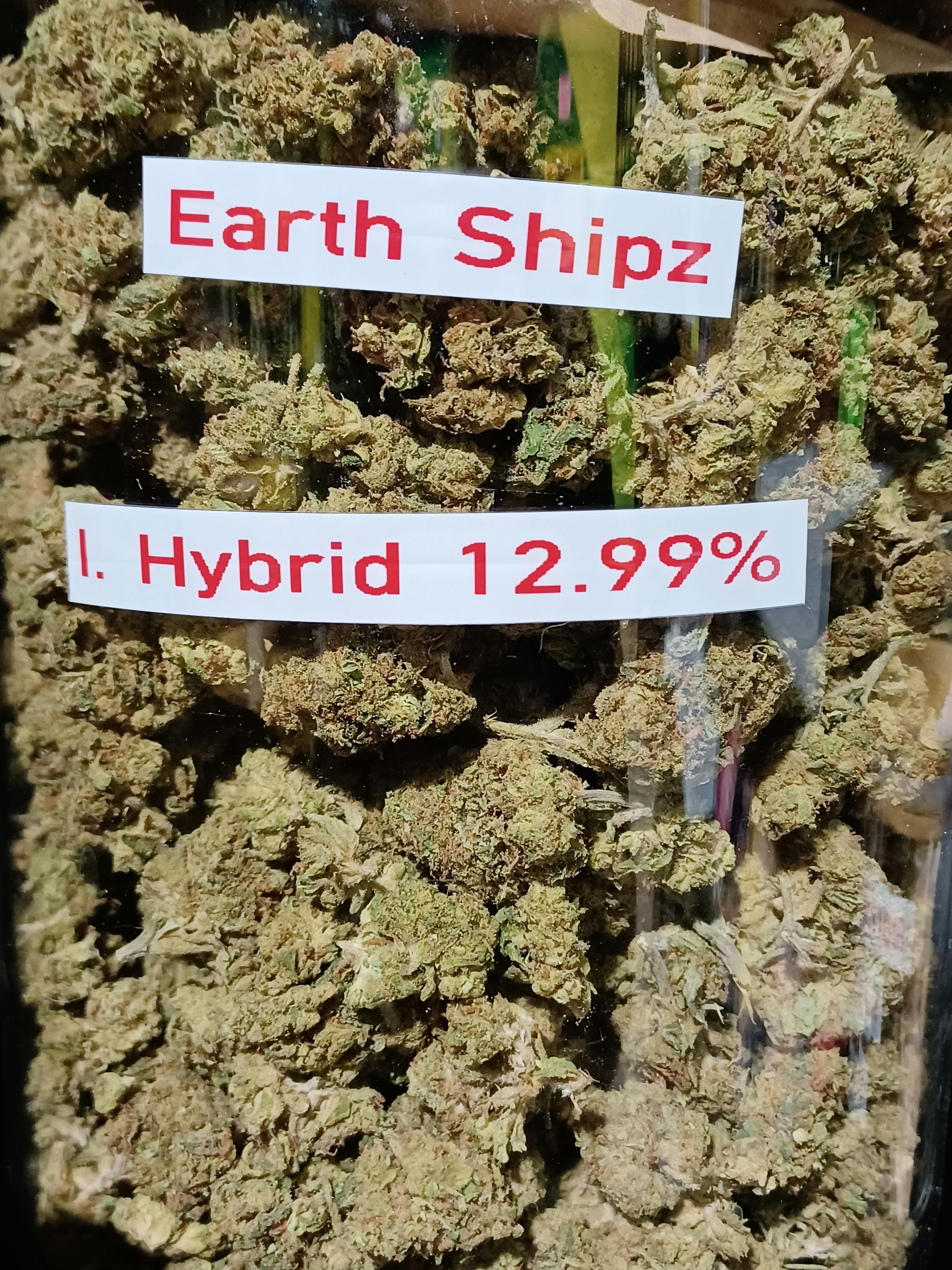 Earth Shipz