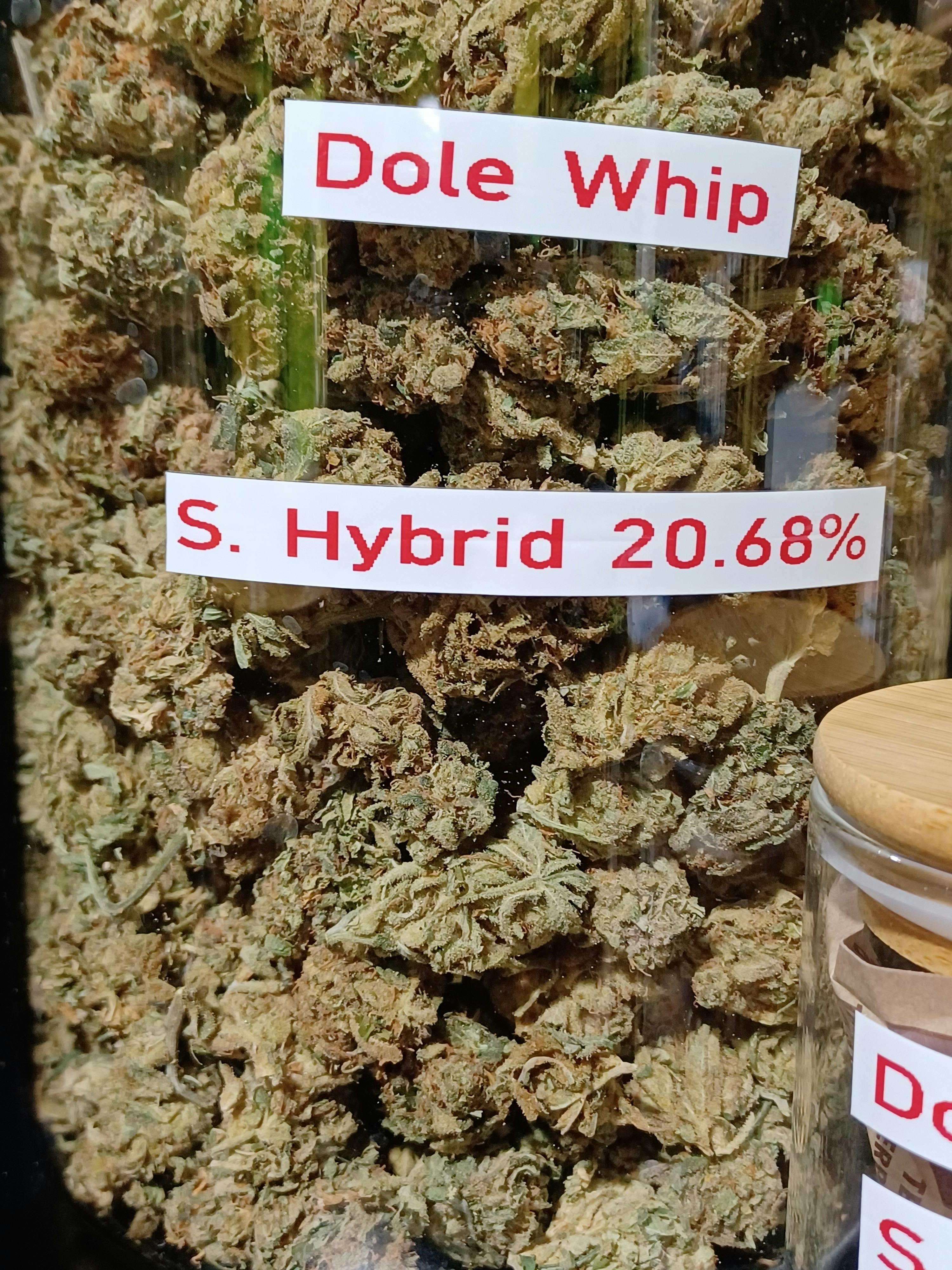 Dole Whip (Flower)