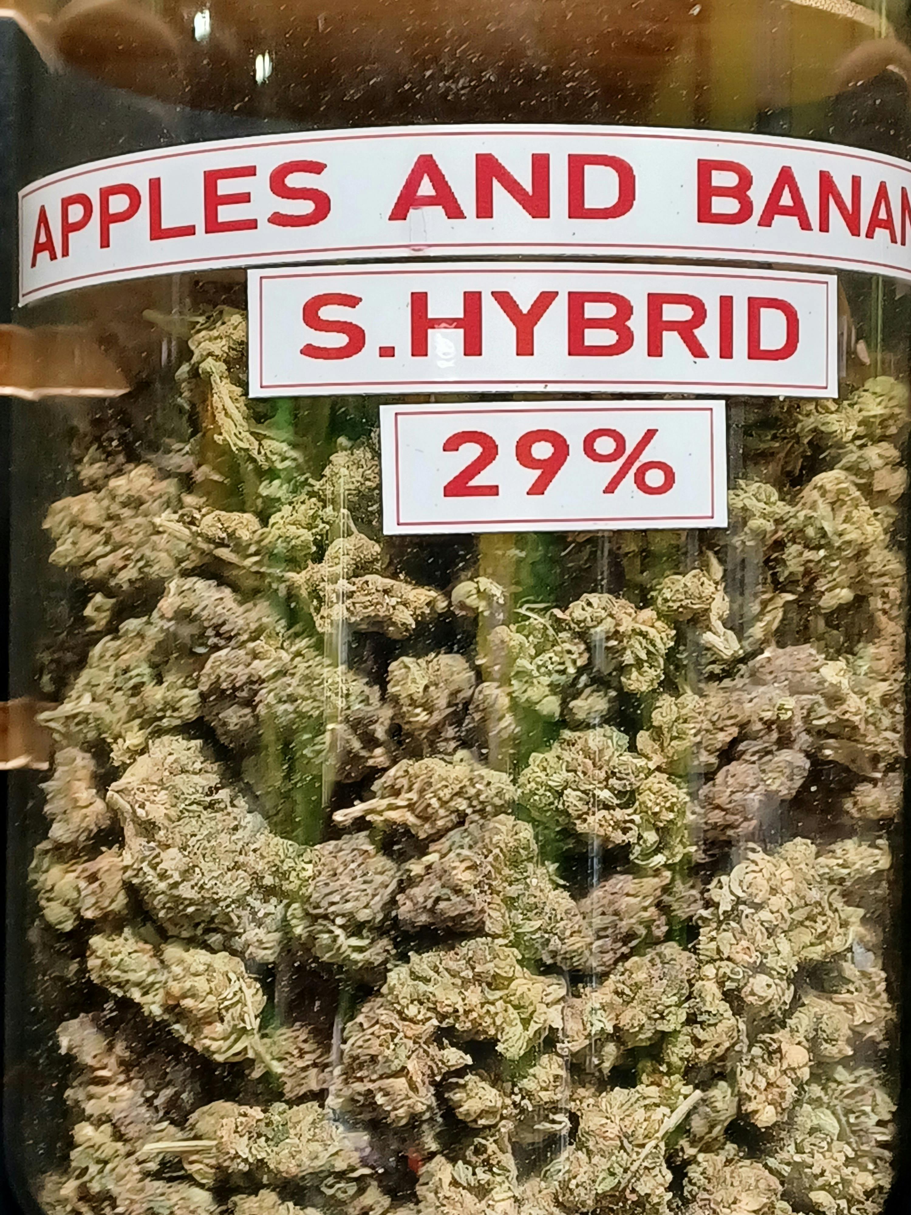 Apples & Bananas (Flower)