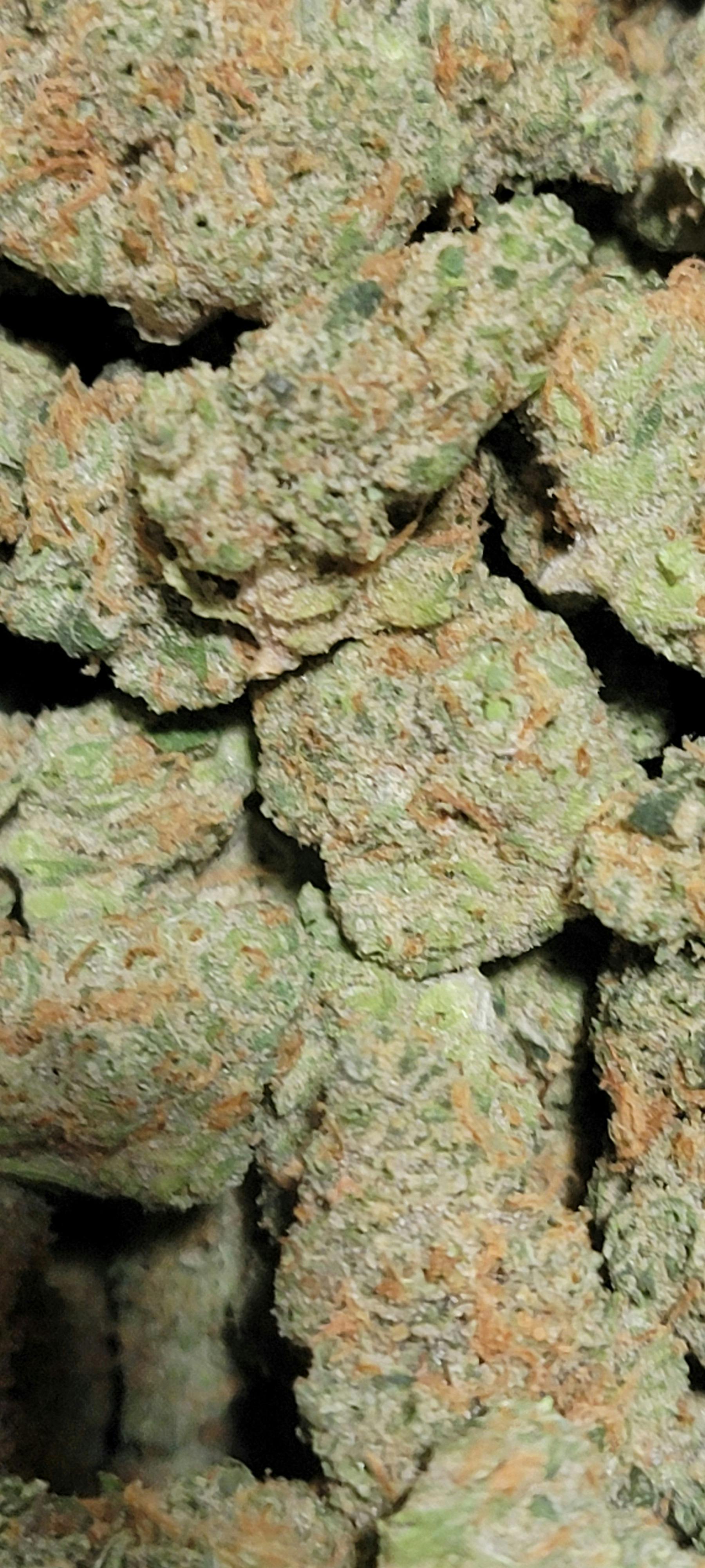 LEMON SKUNK SMALLS 3OZX$165 PRE PACK TERP 3.21% THC 27.97%