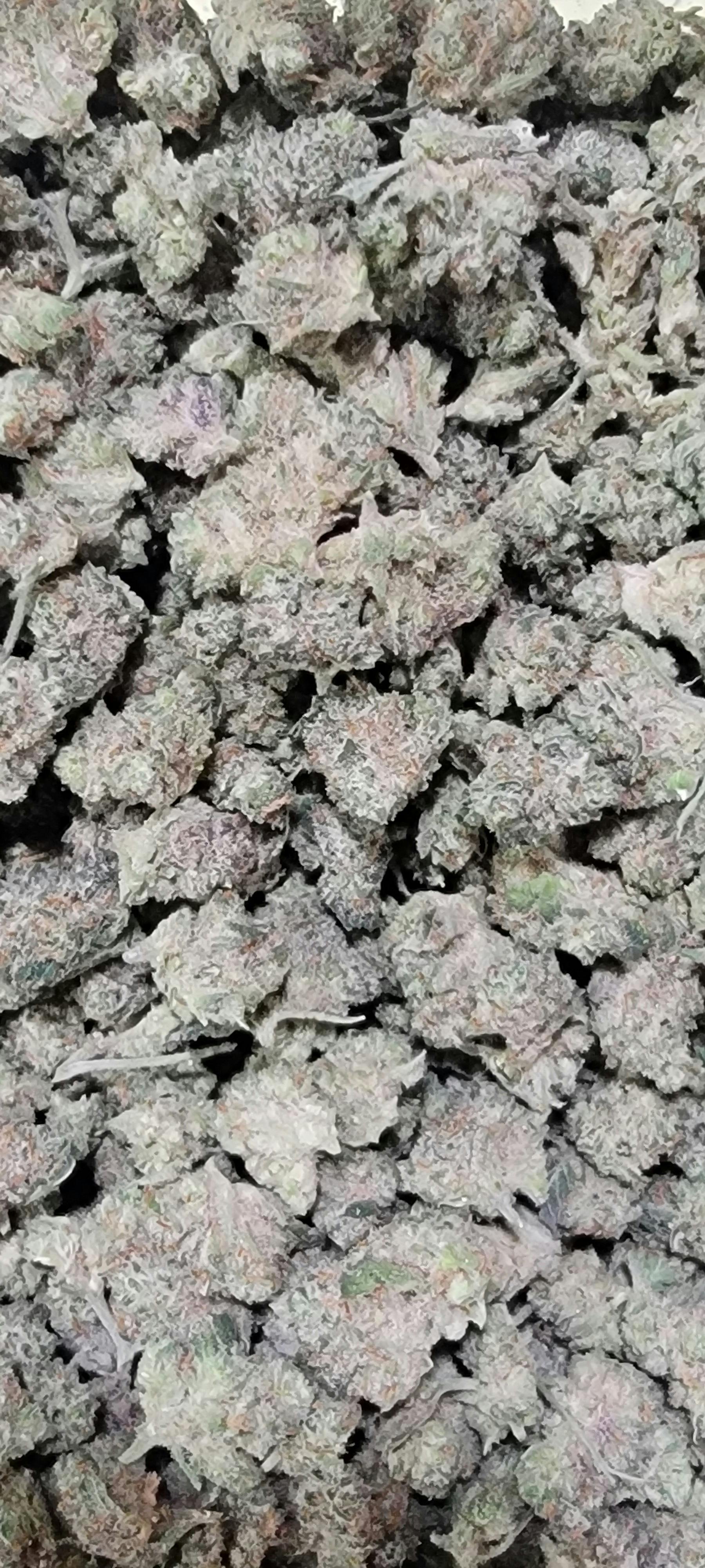 10TH PLANET 3.5 Pre Pack TERP 1.90% 30zx$150