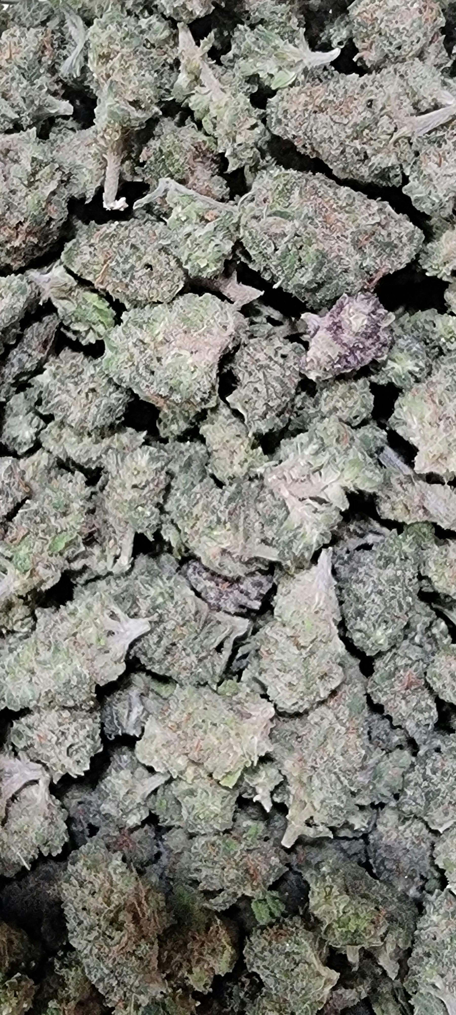 APEX R1 3.5g Pre Pack TERP 2.00% 3ozx$150
