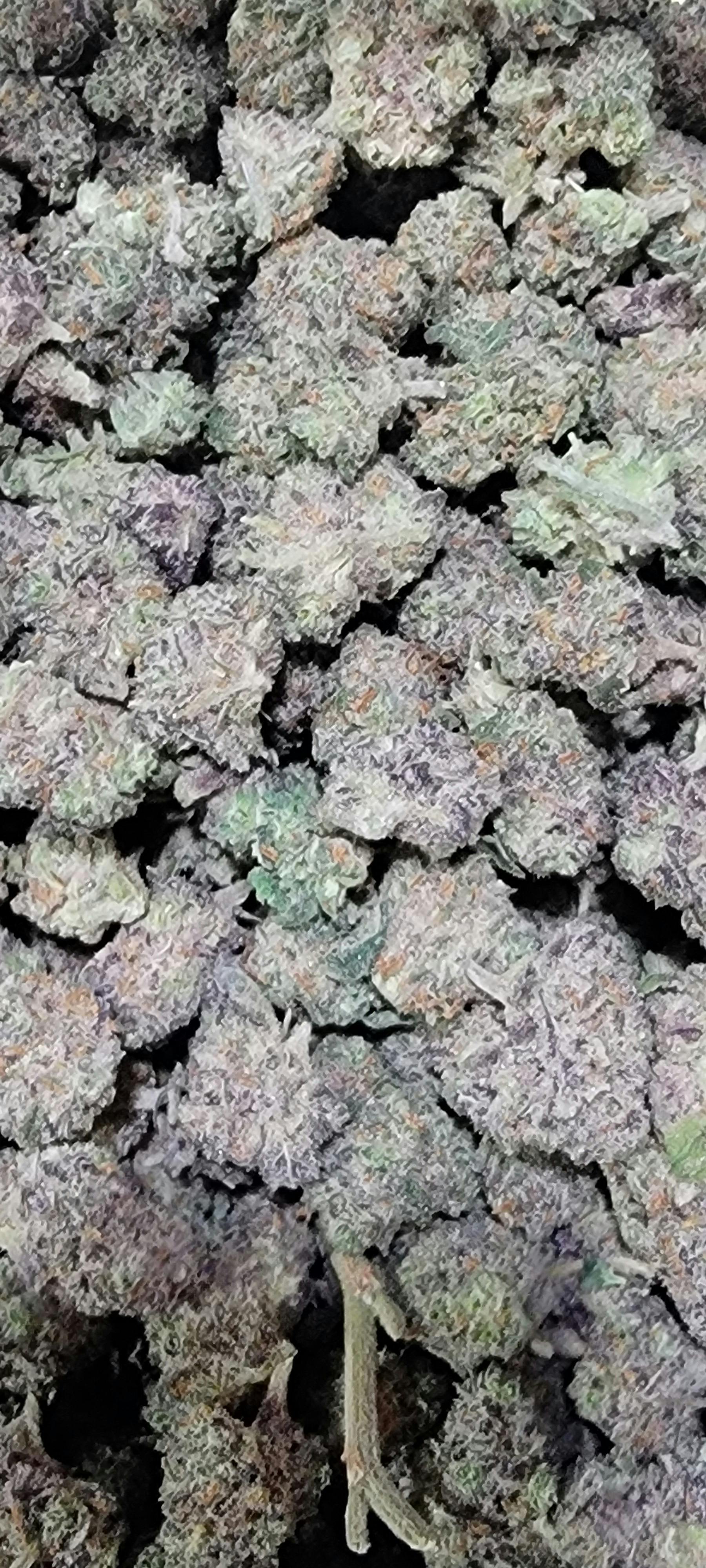 CANDY STORE RBY 3.5 Pre Pack TERP 2.26% 3ozX$150