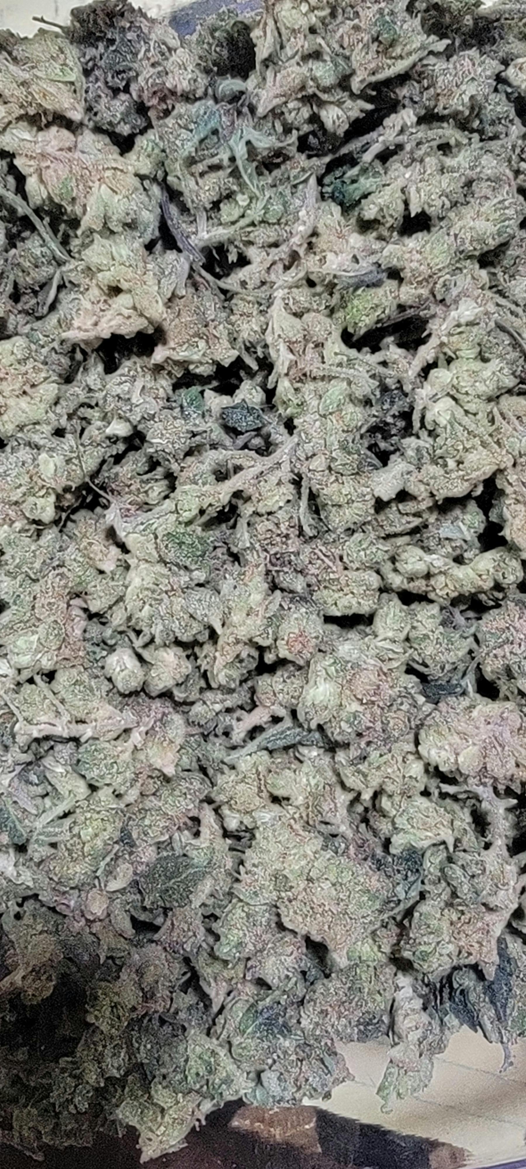 OMG 3.5 Pre Pack TERP 1.90% 3OZX$150