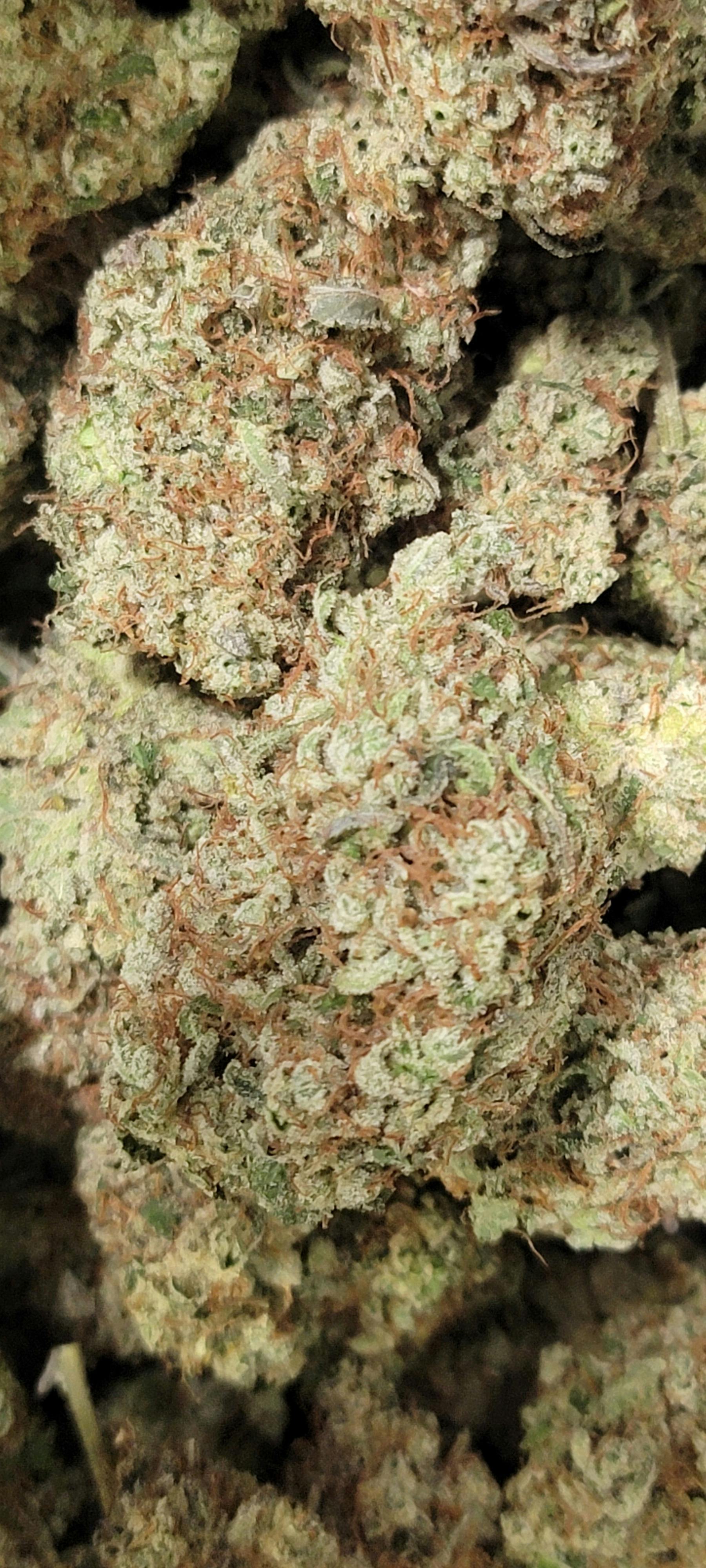 ASTRONAUT - 3.5g pre pack TC: 32.05% Terps: 4.93%