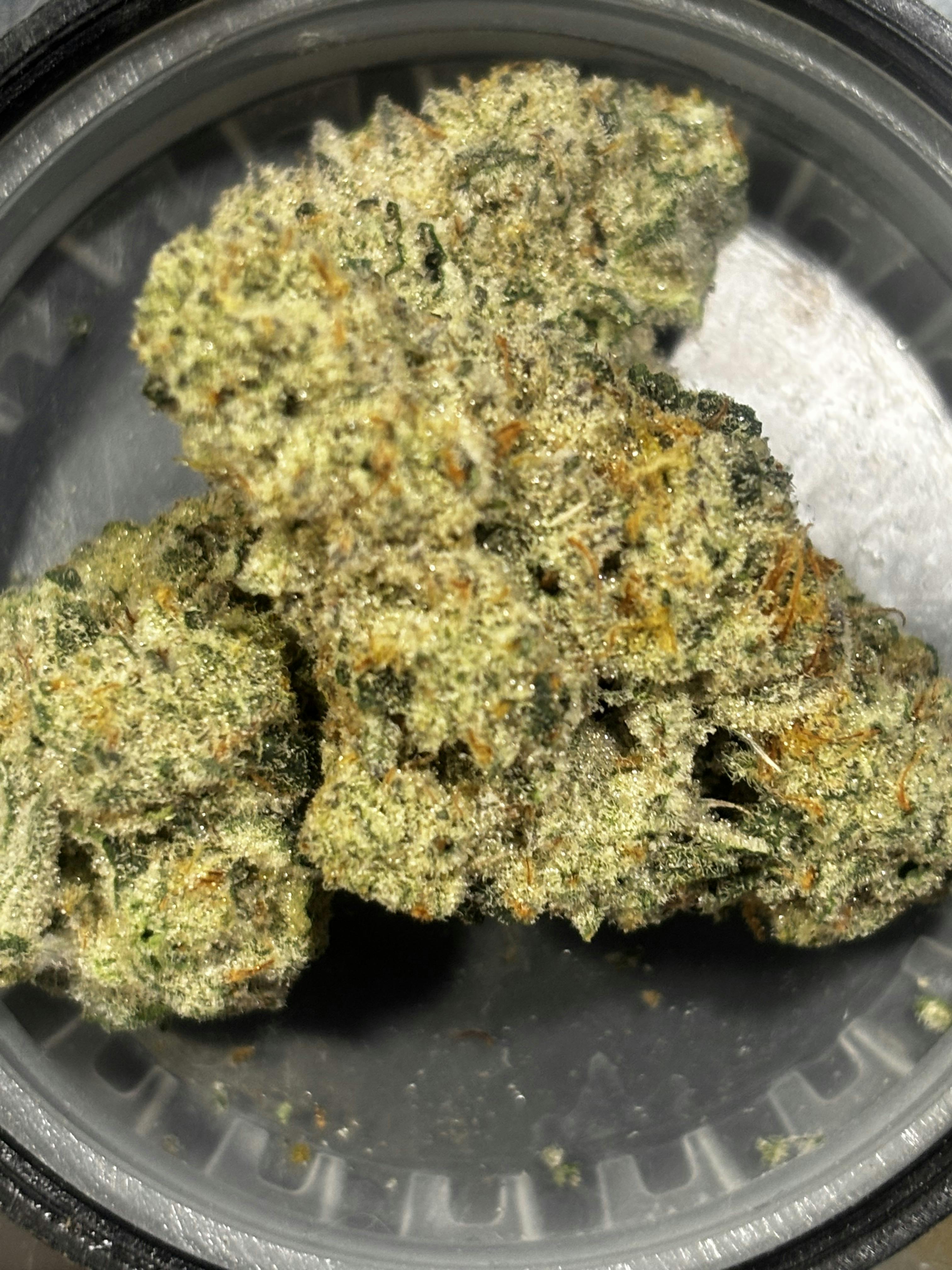 CAP JUNKY 3.5G PRE PACK TERP 2.52%