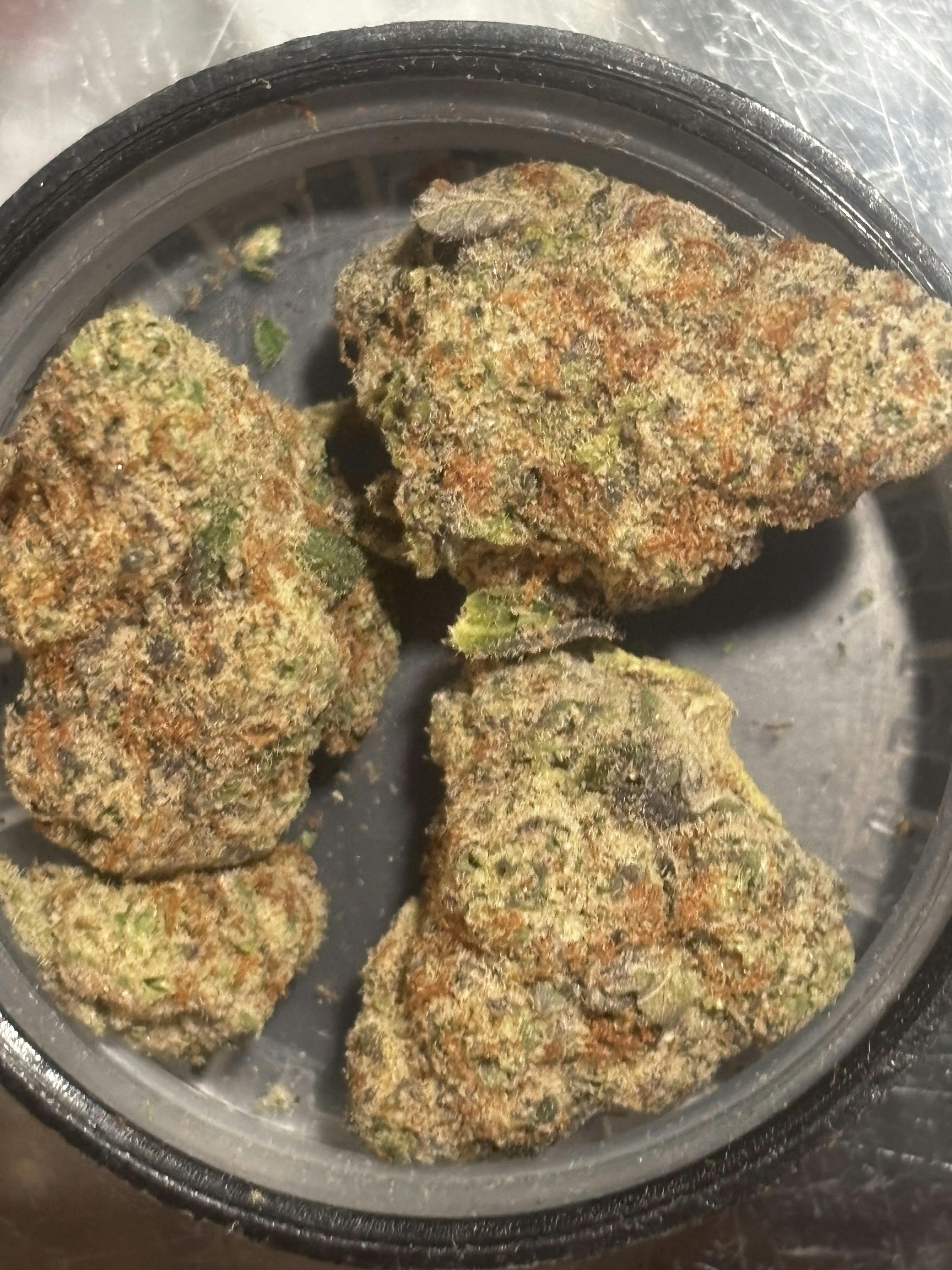GRAPE GASLATO 3.5G PRE PACK TERP 2.28%