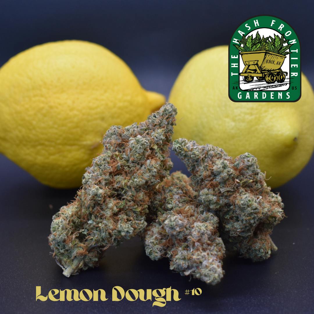 Lemon Dough #10 (S) Flower Deli-Style (Lemon G x OGKB/OBKB BX) - The Hash Frontier