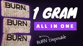 Burn Disposable - Clementine