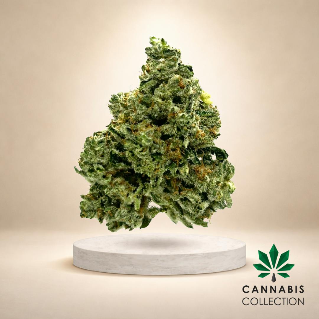 Bonsai Cannabis Collection Weed Flower | Order Online