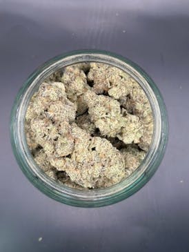 PREMIUM SHELF - DAILY GRAPE - HYBRID