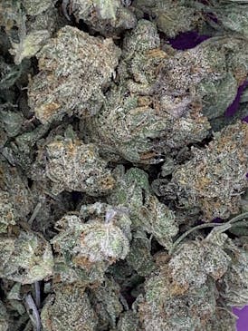 EXOTIC SHELF - Zkittles - HYBRID
