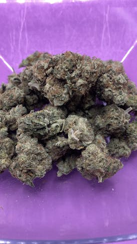 PREMIUM SHELF - FROSTED SHERBERT - INDICA