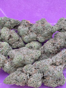 EXOTIC SHELF - FROSTED RUNTZ - INDICA
