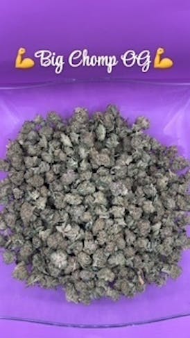 VALUE SHELF - Big Chomp OG Smalls